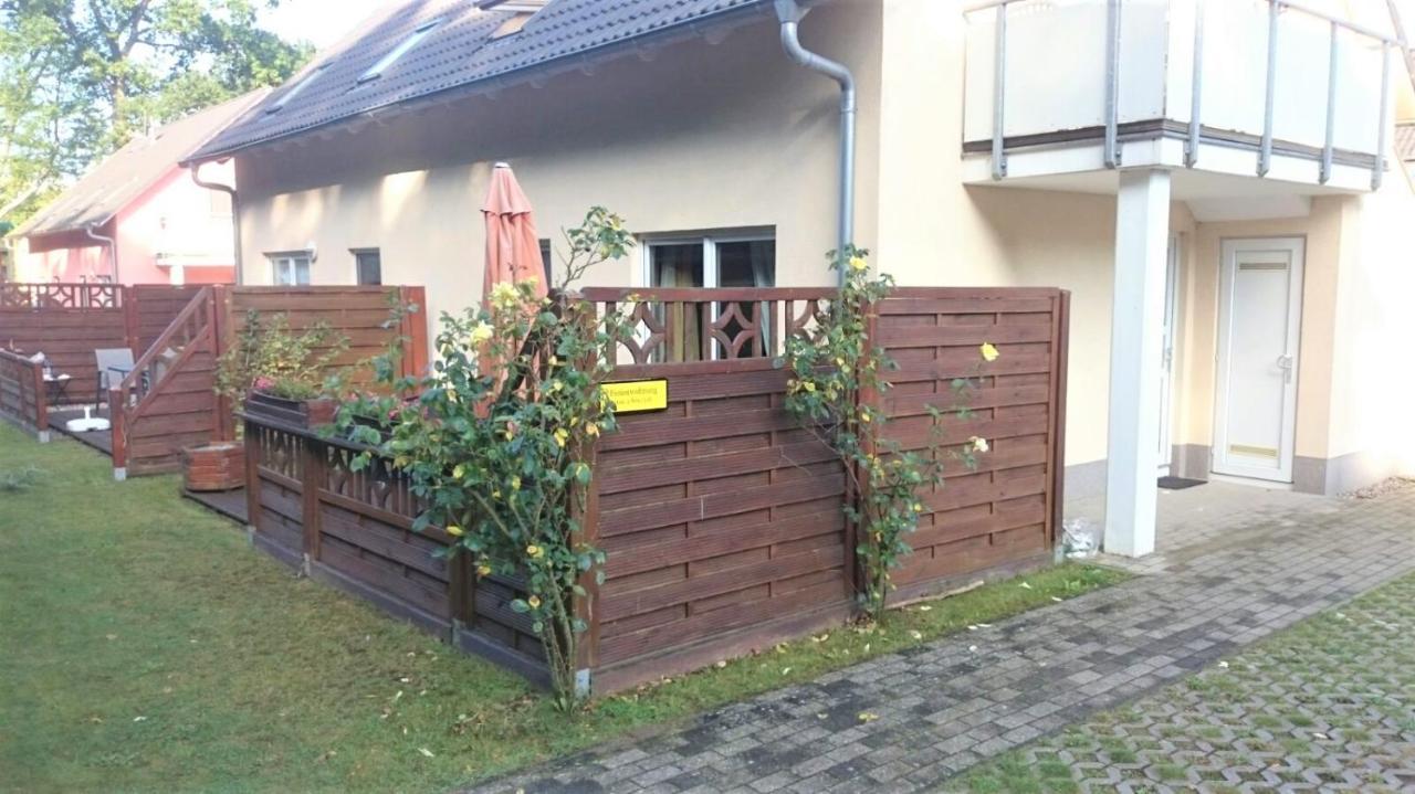 Neptun Apartment