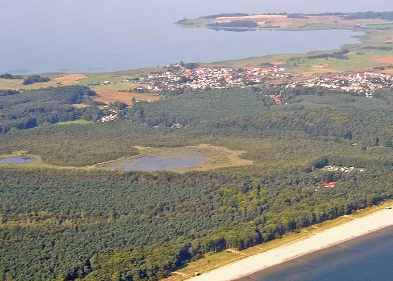 Neptun Apartment