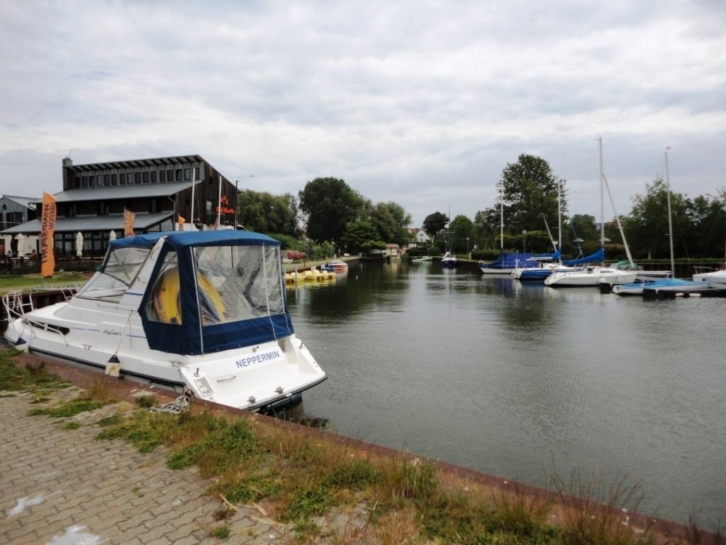 Neptun Apartment *